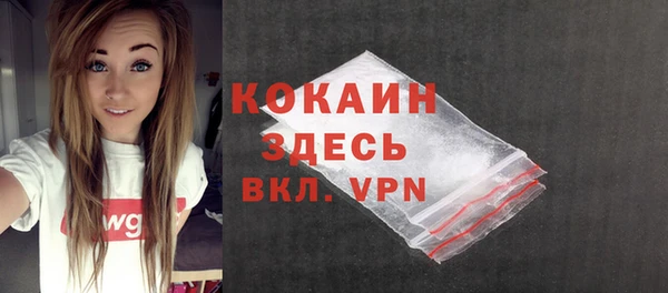дживик Снежногорск