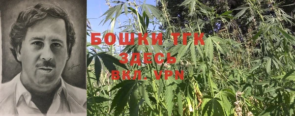 эйфоретик Абинск