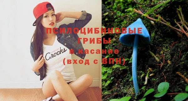 эйфоретик Абинск