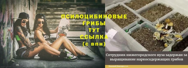 эйфоретик Абинск
