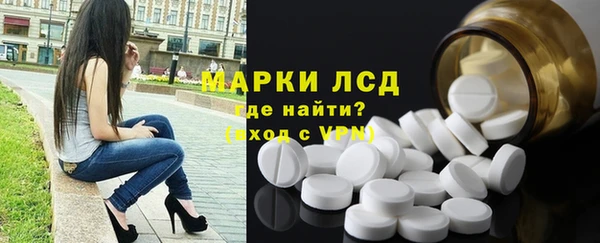 дживик Снежногорск