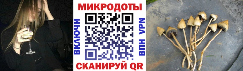 Галлюциногенные грибы мицелий  МЕГА вход  Кировград  где можно купить  